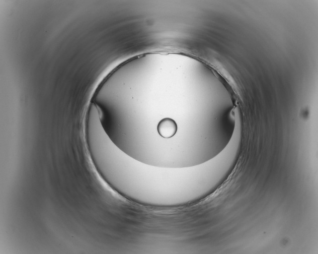 X0000098211484200805221616