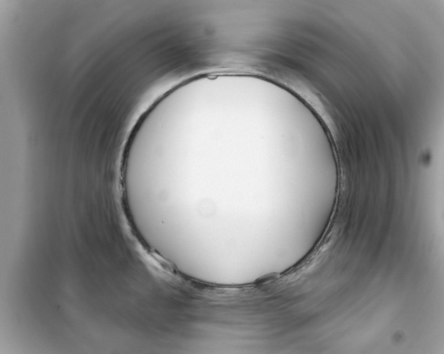 X0000098211485200805221616