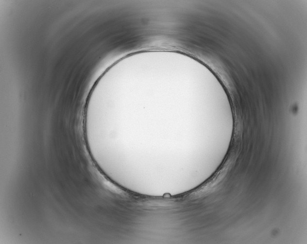 X0000098211486200805221616