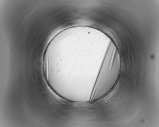 X0000098211487200805221616