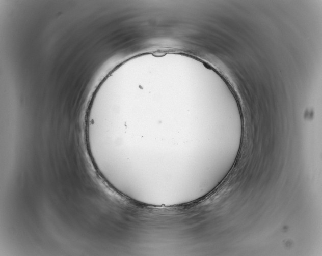 X0000098211488200805221616