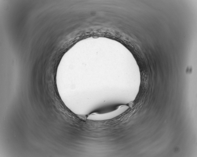 X0000098211489200805221615