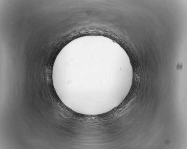 X0000098211490200805221615