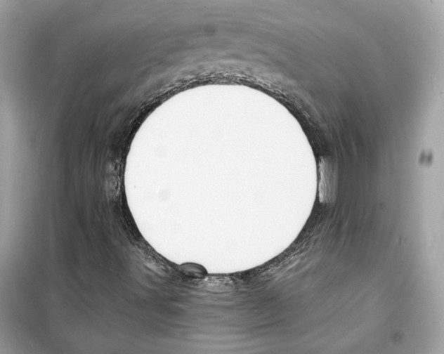 X0000098211491200805221615