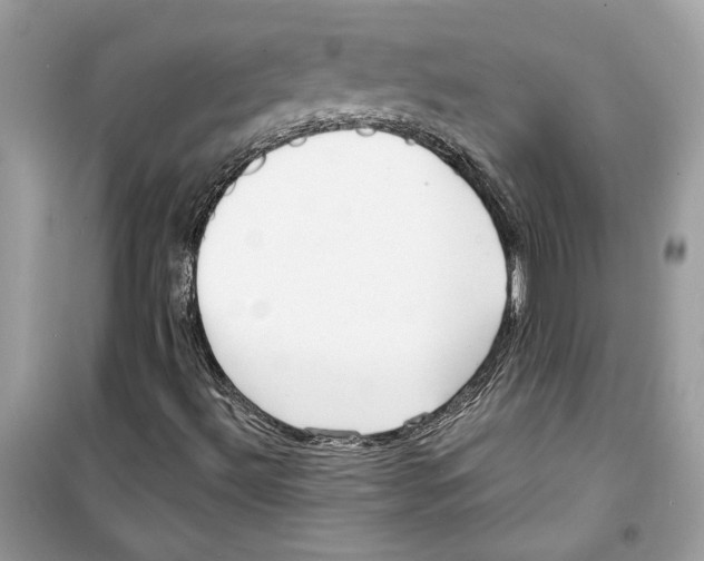 X0000098211492200805221615