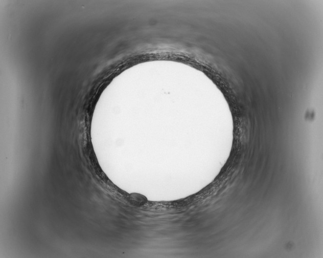 X0000098211493200805221615