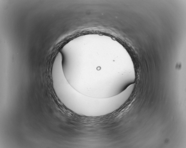X0000098211494200805221615