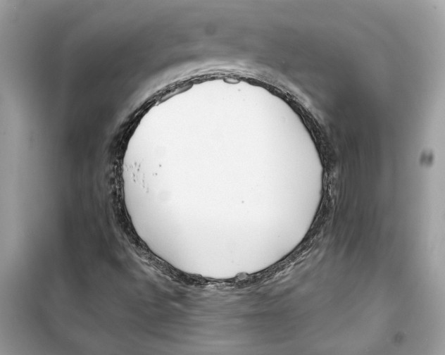 X0000098211496200805221615