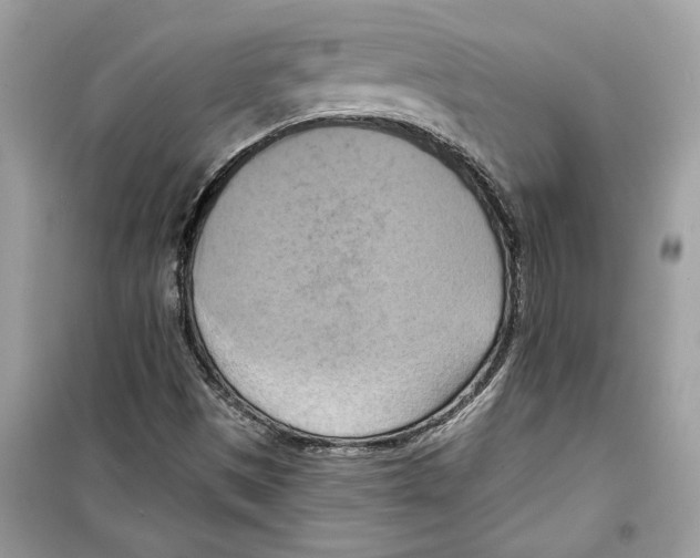 X0000098211497200805221615