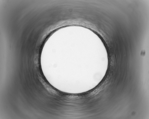 X0000098211499200805221615