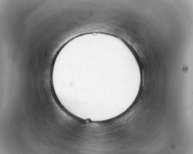 X0000098211500200805221615