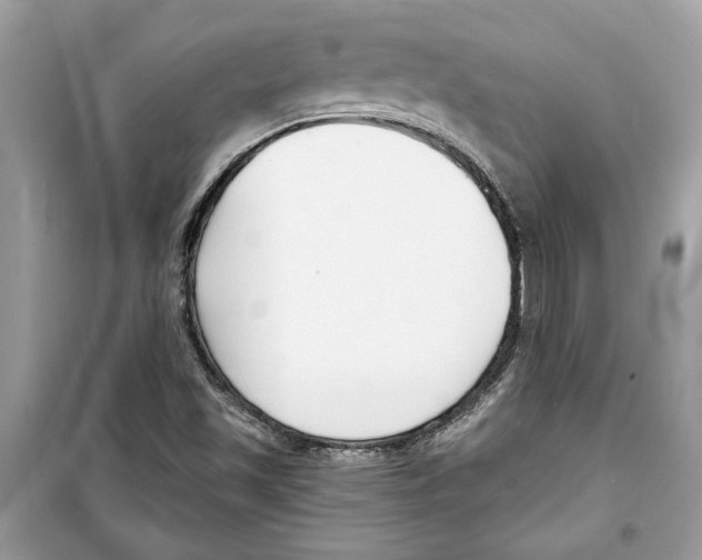 X0000098211501200805221616