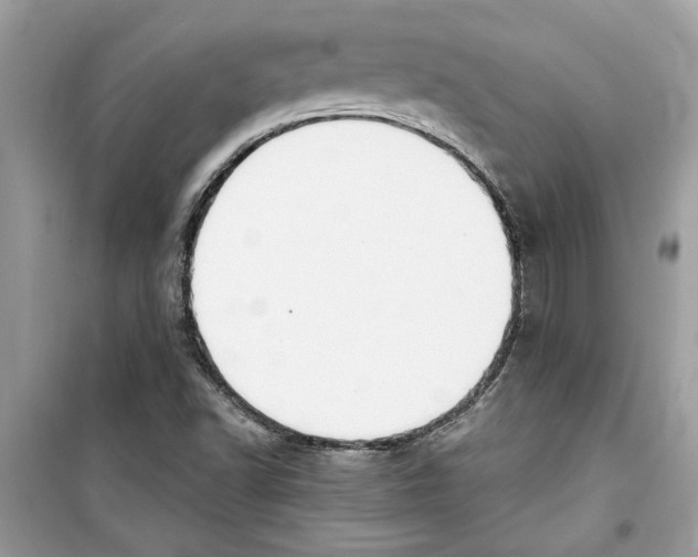 X0000098211502200805221616