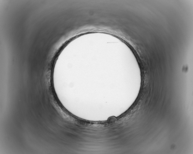 X0000098211503200805221616