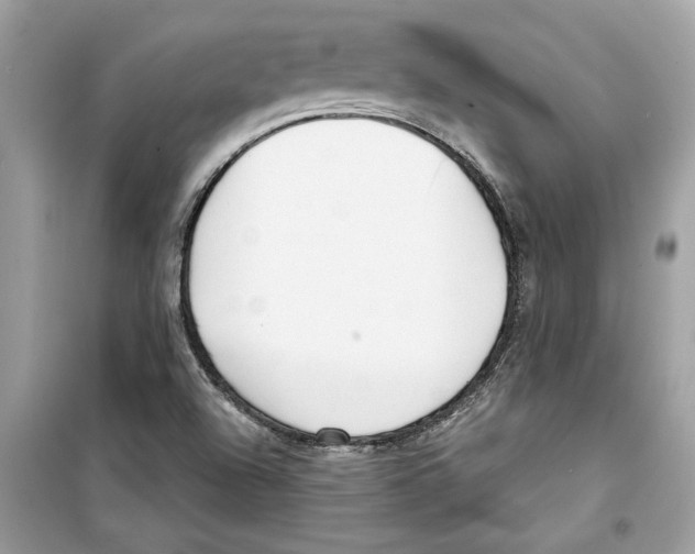 X0000098211504200805221616