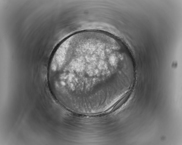 X0000098211505200805221616