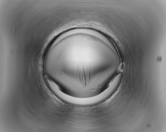X0000098211506200805221616