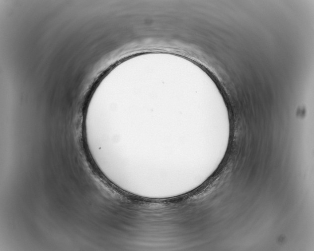 X0000098211507200805221616