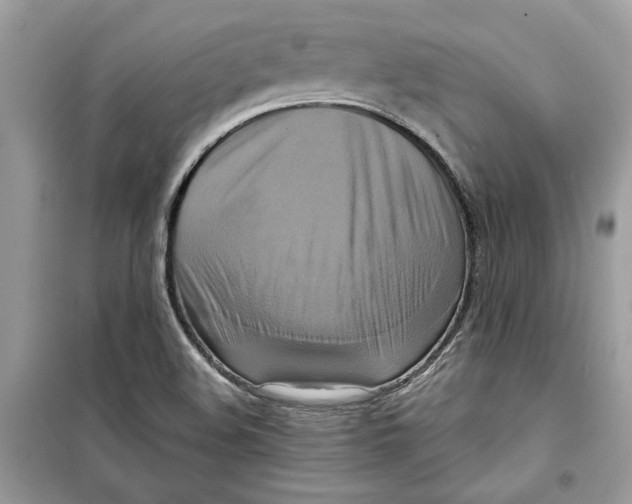 X0000098211508200805221616