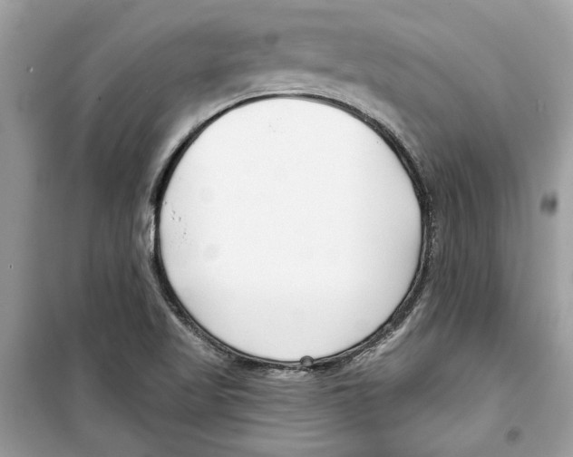 X0000098211509200805221616