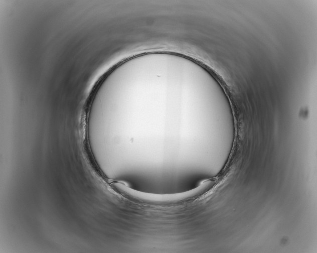 X0000098211510200805221616