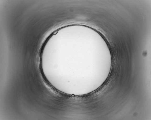 X0000098211511200805221616