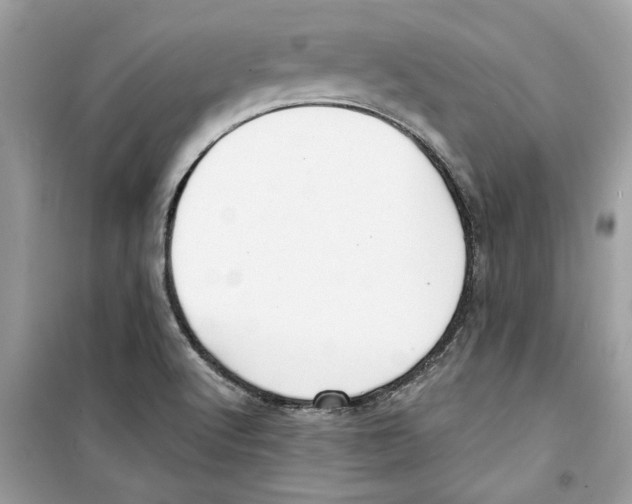 X0000098211512200805221616
