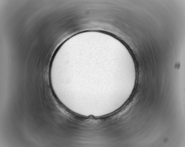 X0000098211513200805221616