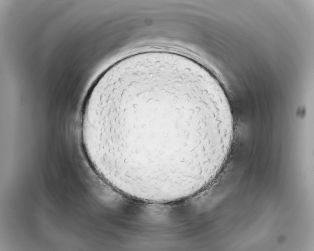 X0000098211514200805221616