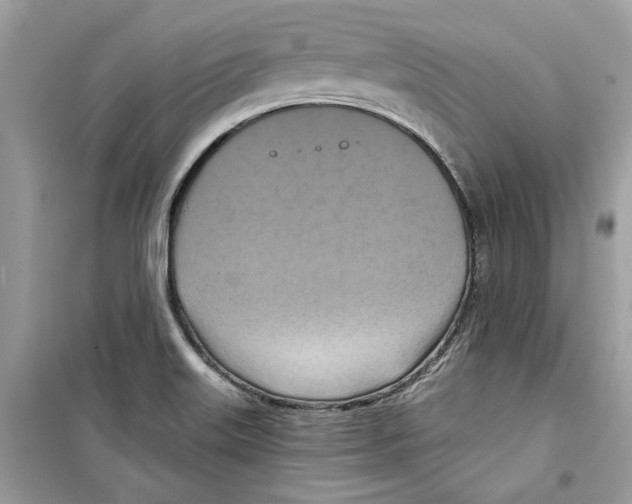 X0000098211515200805221616