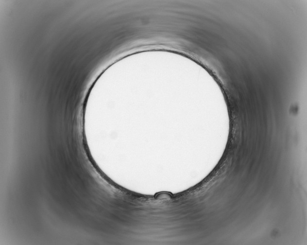 X0000098211516200805221616