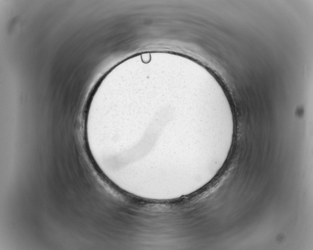 X0000098211517200805221616