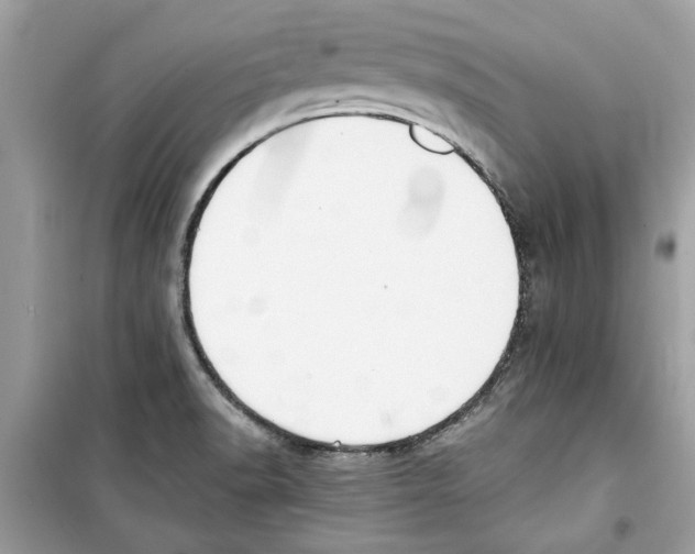 X0000098211518200805221616