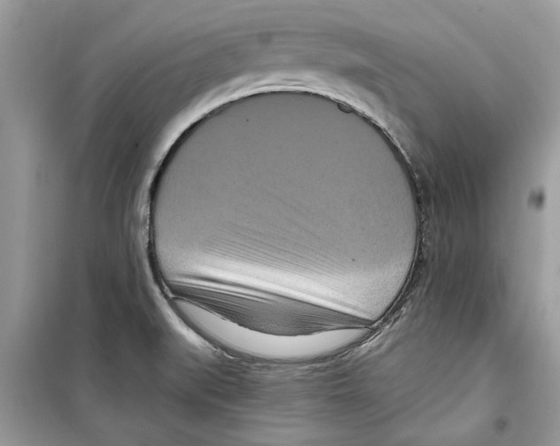 X0000098211519200805221616