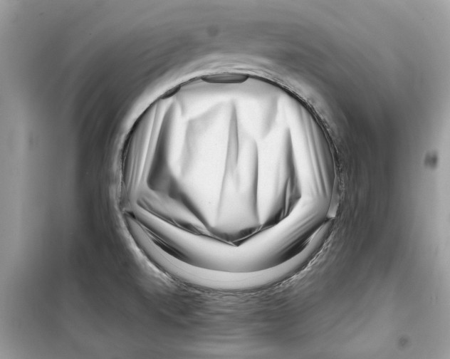 X0000098211520200805221616
