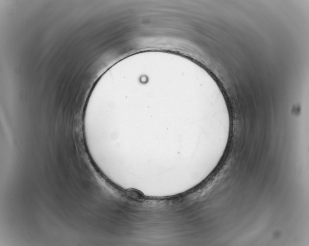 X0000098211521200805221616