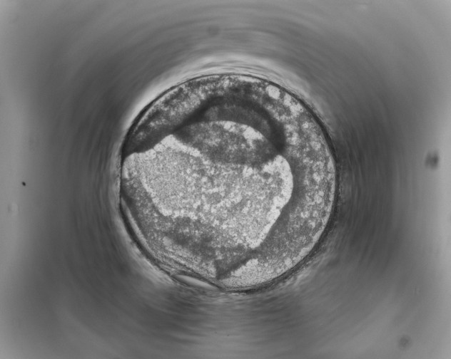 X0000098211522200805221616