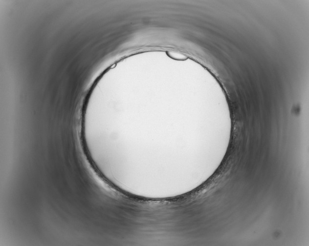 X0000098211523200805221616