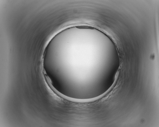 X0000098211524200805221616