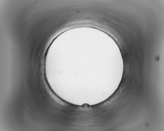 X0000098211526200805221616
