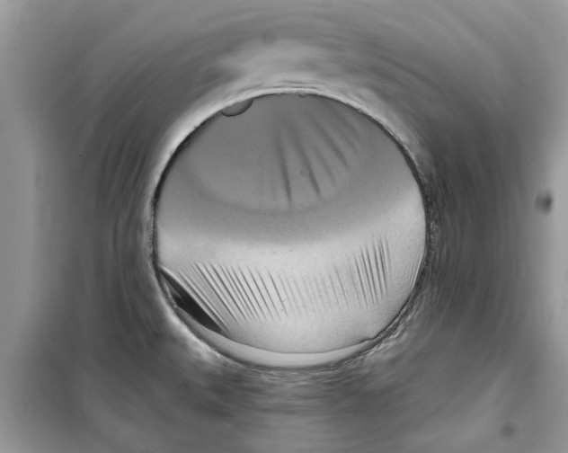 X0000098211527200805221616