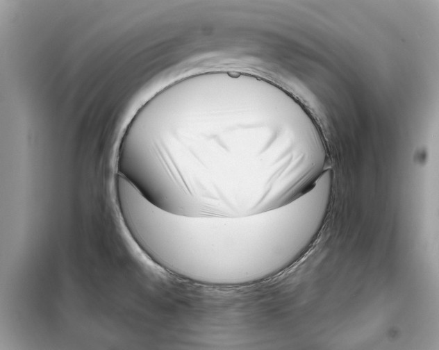X0000098211528200805221616