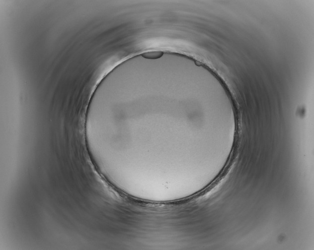 X0000098211529200805221616