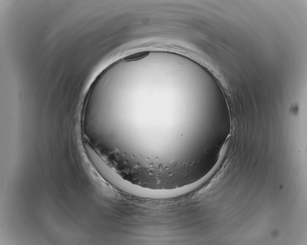 X0000098211530200805221616