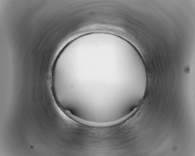 X0000098211531200805221616