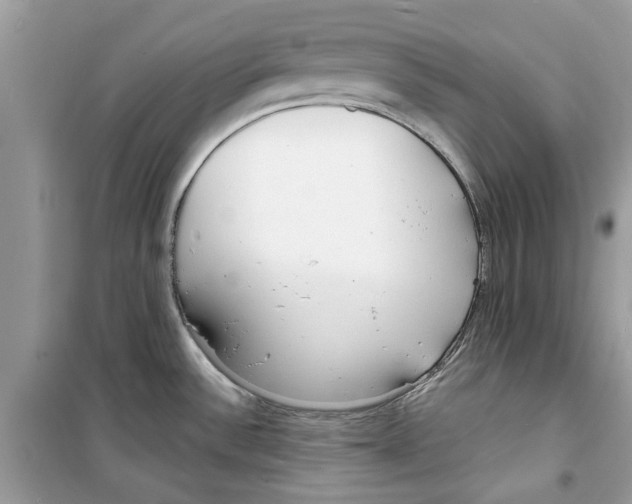 X0000098211532200805221616