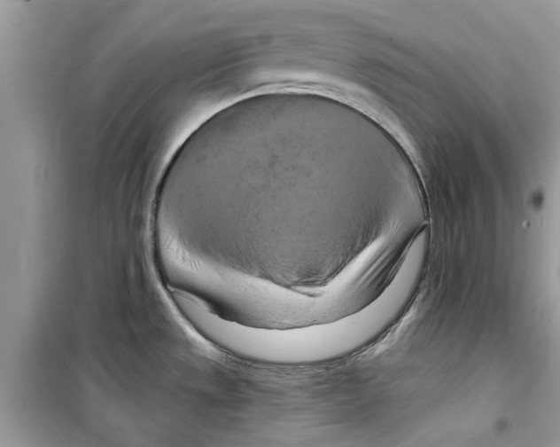 X0000098211533200805221616