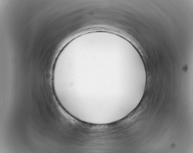 X0000098211535200805221616
