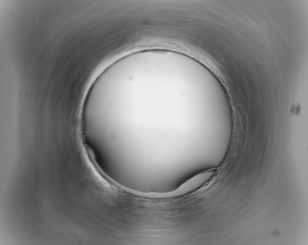 X0000098211536200805221616