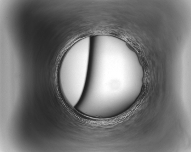 X0000098220005200804241143